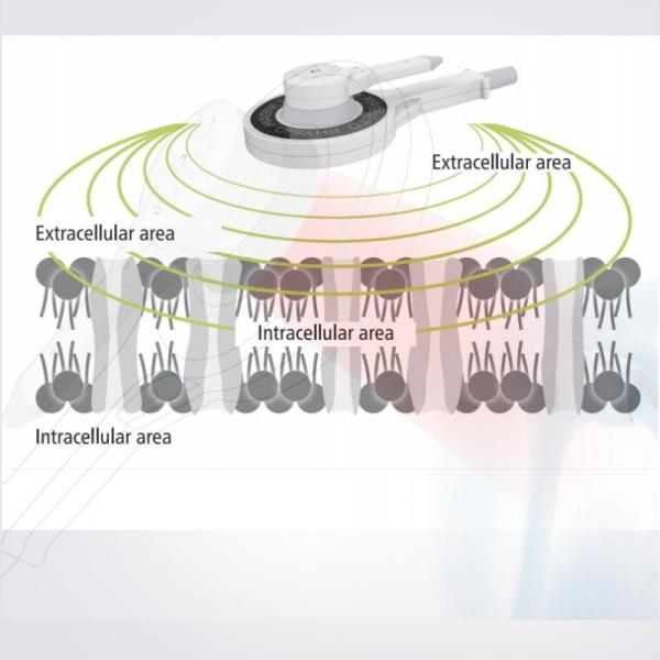 130KHz Magnetic Therapy Device For Treating Musculoskeletal Disorders Physio Magneto Infrared Physiotherapy
