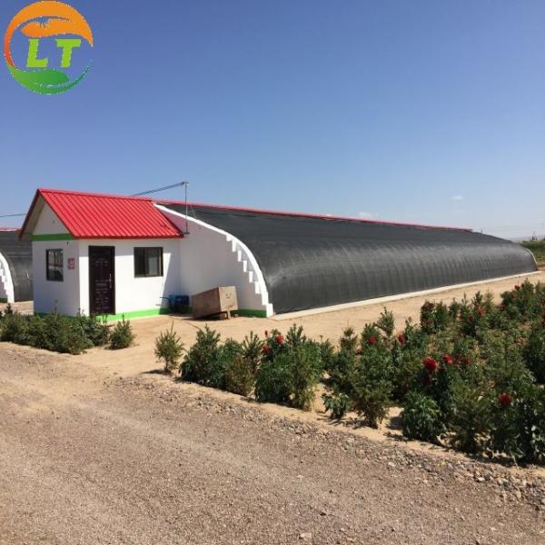 Hydroponic Greenhouse System for High Strength Solar Greenhouse and Vegetable Flower