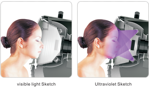 Машина красоты лицевой системы прибора 3д красоты пользы дома кожи неподвижная