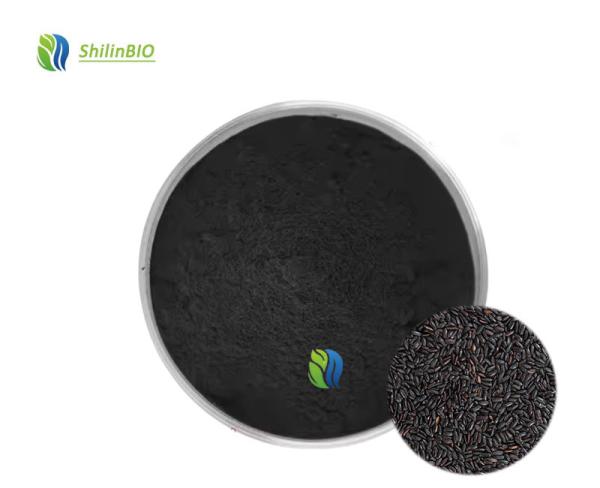 Black Rice Extract Powder 25% Anthocyandins