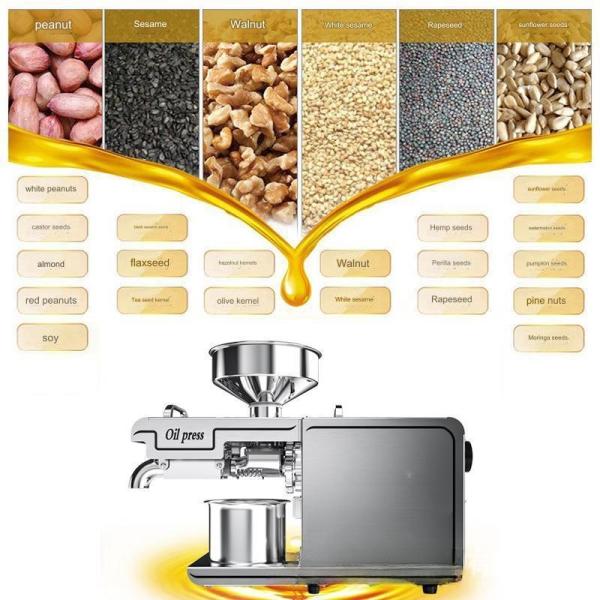 Stainless Steel Body 220V Hydraulic Oil Press Machine for Cold Pressing Peanut Oil