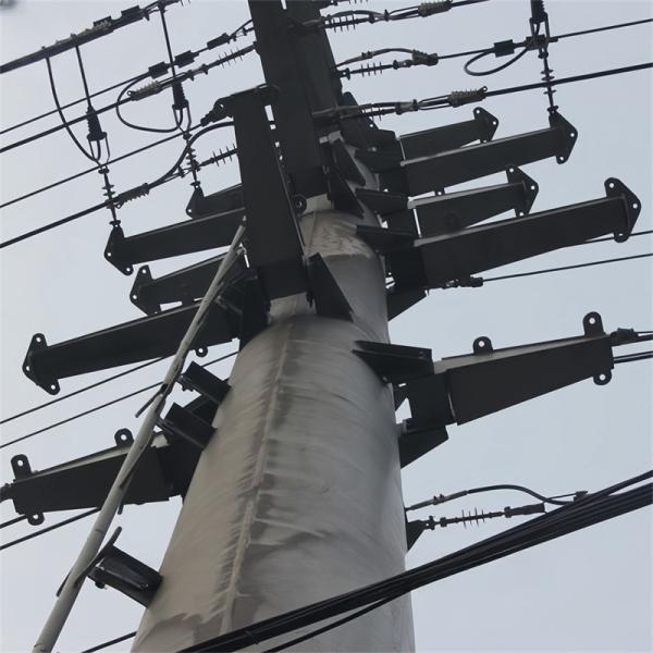 Fabricant 75 pieds extérieurs 100 Km portée antenne télévision tubulaire en acier poste de mât de télécommunication
