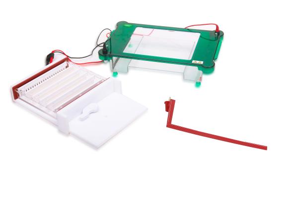 Safety Horizontal Gel Electrophoresis Apparatus Abundant Buffer ISO Approved