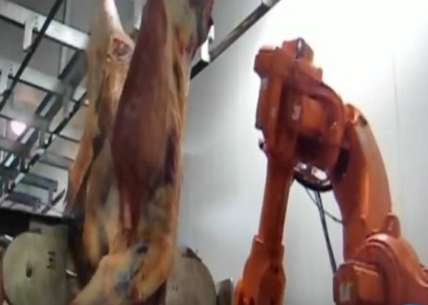 Chaîne de production automatique non standard de viande rouge pour le diviseur