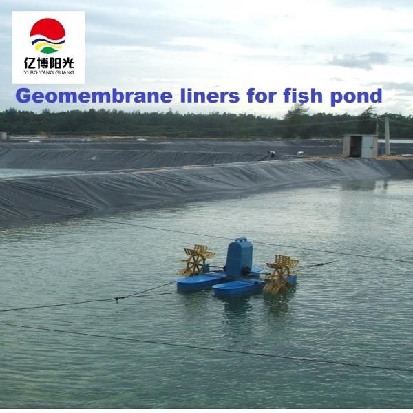 1m-8m Width HDPE Geomembrane Pond Liners for Fish Shrimp Farm Black White Green Blue
