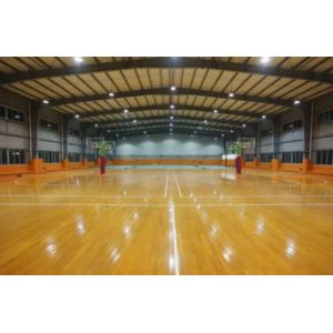 Modular Pre Engineered Metal Commercial Buildings For Indoor Sports Hall Stadium