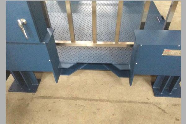 Carbon Steel / Stainless Steel Custom Weighing Scale,Livestock Weighing Equipment