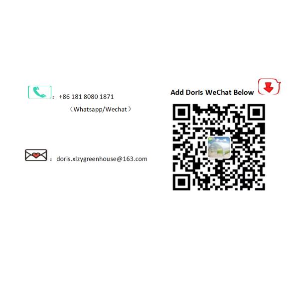 Backyard Light Dep Greenhouse For Vegetables With Roof Ventilation System