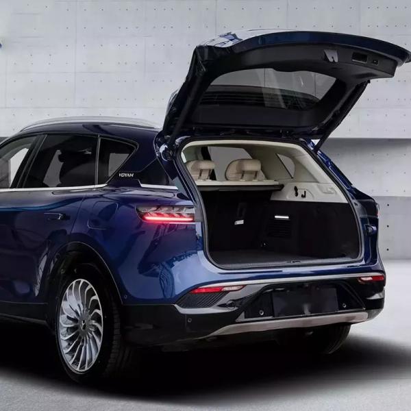 4905*1950*1645 Electric Energy Vehicles Suv Voyah Free 5seats And 4 Electric Vehicles Car With Made In 255/45 R20 2023