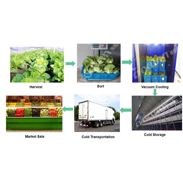 Промышленный вакуумный охладитель для овощей и фруктов с обеспеченным видеопросмотром