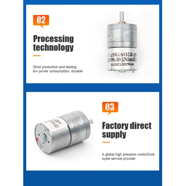Futeng Motor Custom 25mm Mini Gearmotor 12v 24v High Torque DC Spur Gear Motor for Robot