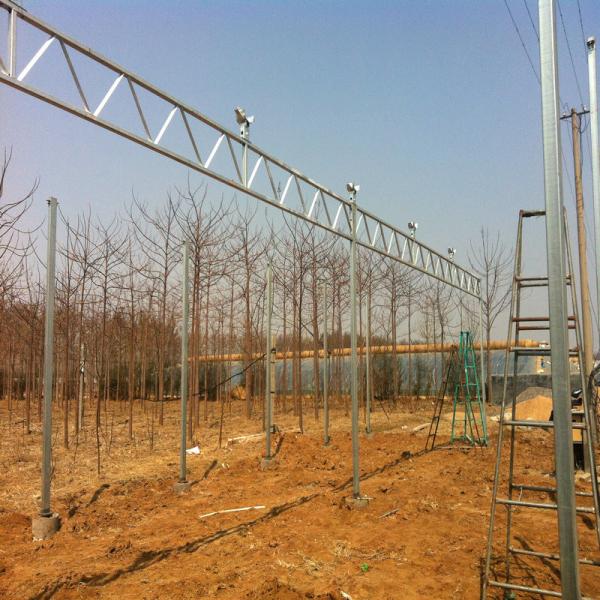 Low Cost Polycarbonate Sheet Greenhouse For Bananas Cucumber Tomatoes Lettuce