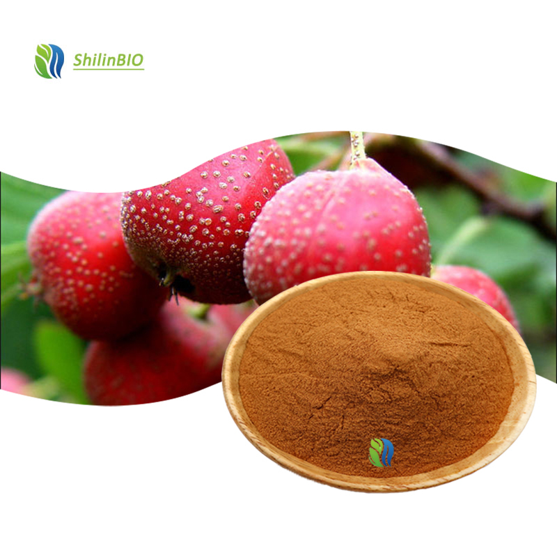 High Quality 10:1 20:1 30:1 Crataegus Pinnatifida Extract Food Grade Hawthorn Berry Extract