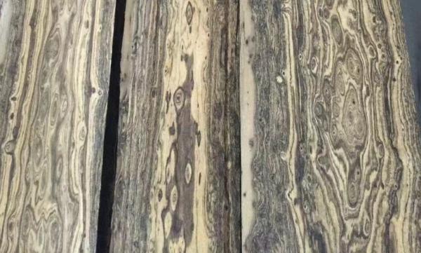 Heavy Oiliness Bocote Wood Veneer For Making Musical Instruments