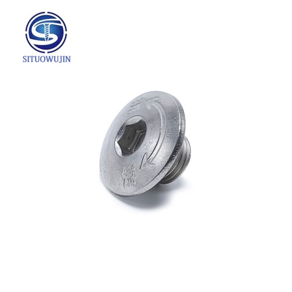 Stainless Steel Hex Socket Quick Release Screw, Precision Locking Fastener for Equipment Assembly