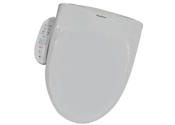 Instantaneous Heating Bathroom Toilet Bidet Ivory White With Self Cleaning Nozzle