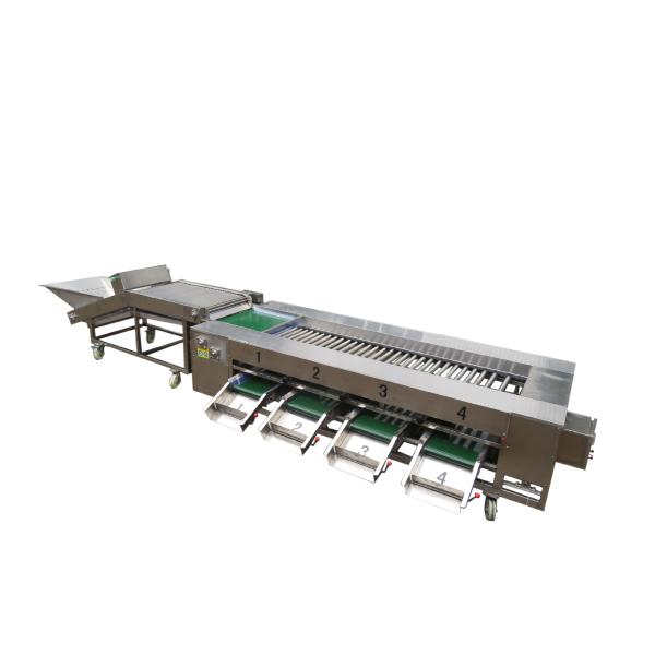 Industrial Roller Sorter 3200*1650*800mm For Precise Sorting