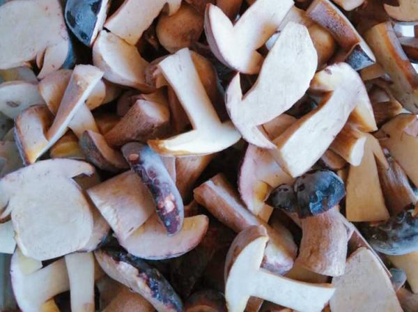 Frozen Mushrooms IQF BOLETUS EDULIS Grade A  24 Months Shelf Life ISO HACCP BRC KOSHER HALAL Certified 10 tons MOQ