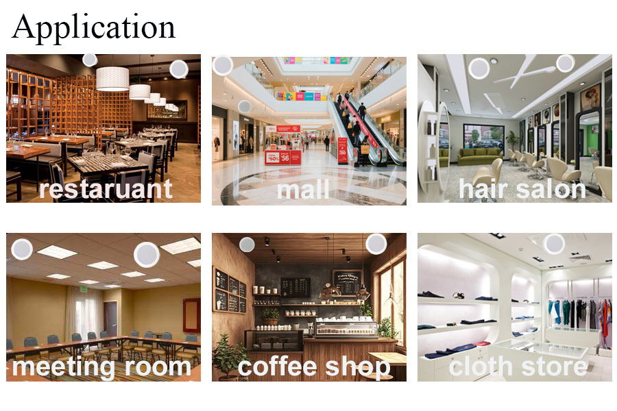6 Inch 6W ABS Ceiling Speaker In Ceiling Surround Sound Speakers