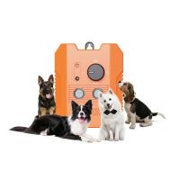 Collar de adiestramiento para perros con control de voz, recargable, con descarga eléctrica
