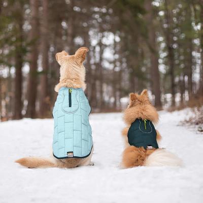 O cachorrinho de venda quente veste a veste do animal de estimação do cão