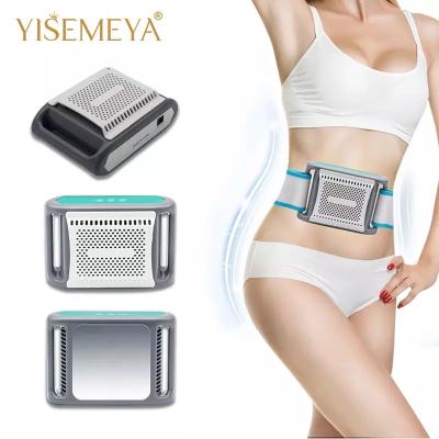 Beleza gorda fria Equiment de Cryotherapy da redução de Cryo da máquina de Criolipolisis do emagrecimento do uso da casa
