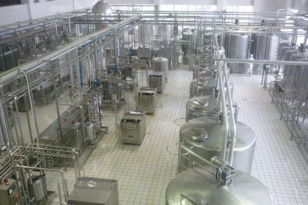 3000c/h Full Automatic Almond Milk Processing Plant with 250ml and 330ml Tin Package