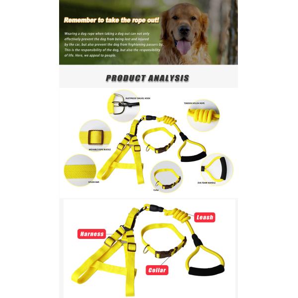 Fancy Dog Collar Harness And Leash Set For Daily Walking