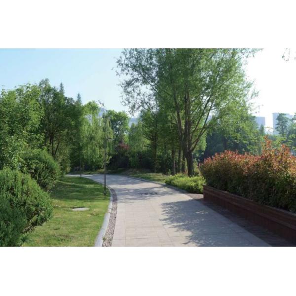 Водоустойчивые света проезжей части СИД IP66 50W 6500LM 6500K 277V