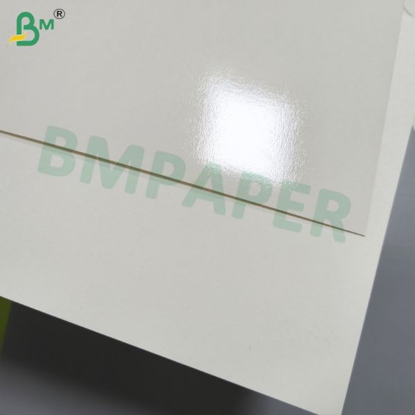 Food Grade Paper Cup Base Paper, Single / Double Side PE Coated 180-350gsm