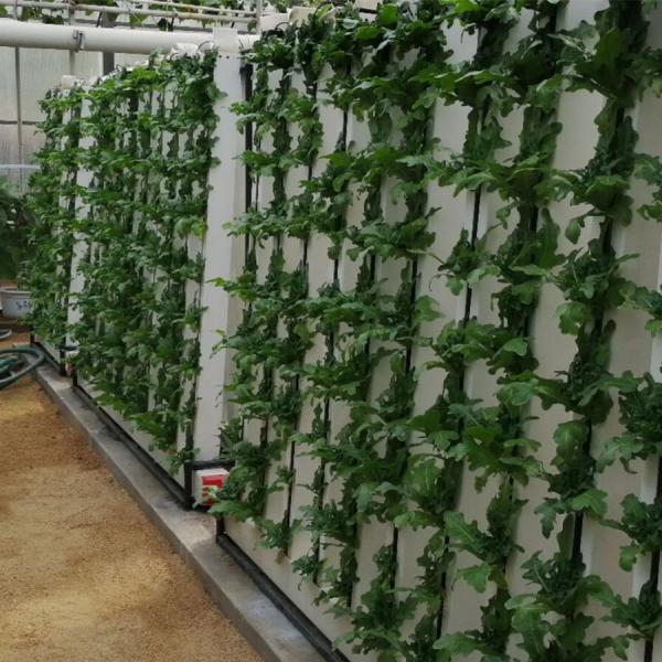 Sistema hidropónico de plantas de jardín de interior Zipgrow con luz LED
