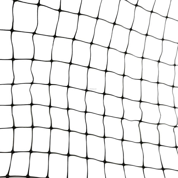 PP/HDPE 13gsm Anti Bird Netting for Crop and Fruit Trees Protection Farming Shielding