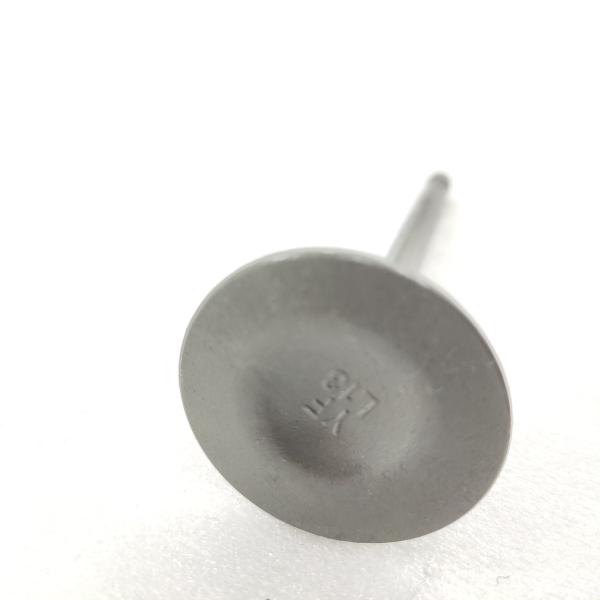 DAYANG moto à trois roues tricycle moteur en fer noir soupape de forgeage avec des matériaux