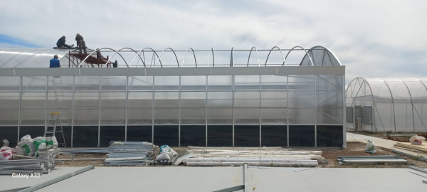 Automated Light Deprivation Greenhouse with 8mm Twin-Wall PC Board and Hot-Dip Galvanized Steel Frame Controlled by Smart PLC System