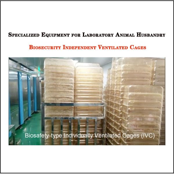 Walk-in Automatic Cage Washer, Integrated Washing & Drying for SPF Laboratory IVC Cages and Racks, High-Pressure Spraying Cage Washing Equipment for Large-Scale Animal Facilities