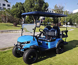 Outdoor Food Truck and GCC Cargo Atv Eec 4 Seater Golf Cart with 2400mm Wheelbase