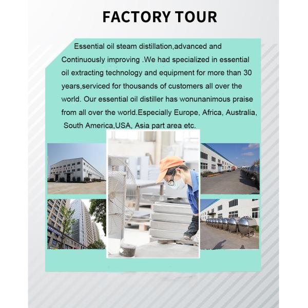10L Supercritical Co2 Extraction Machine Popular Sale for Lemongrass Steam Distillation and Eucalyptus Oil Extraction