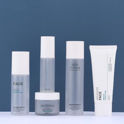 GV de empacotamento cosmético MSDS de Matte Frosted Lotion Airless Bottles