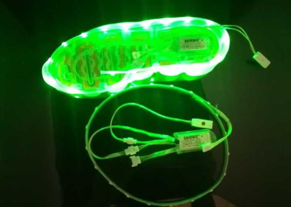 Manufacturer shoe sole light with battery operated 3528 60cm 24leds RGB led light for shoe sole