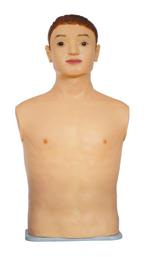 Medical Schools Auscultation Manikin Physical Diagnosis Skills with Consoles System