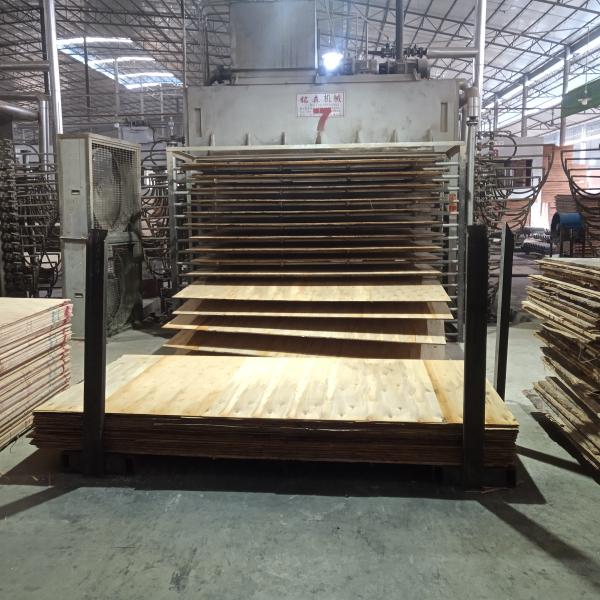 Llyods Certificate Phenolic WBP Glue 16mm Marine Okoume Plywood