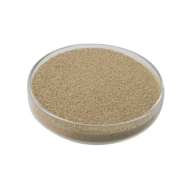 Complex Enzyme