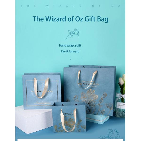 Ходя по магазинам одежда картона упаковывая бумажные мешки Kraft с ручкой ленты