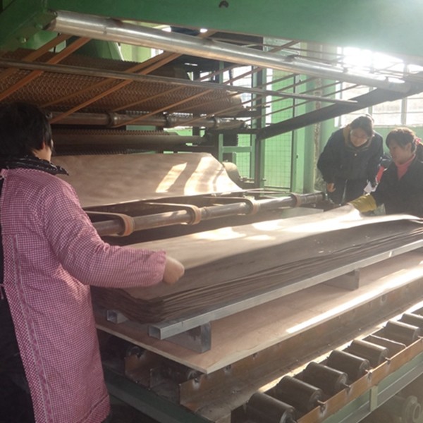 Recomposed Veneer - 3D Engineered Veneer, Low Formaldehyde & Moisture-proof 3DZM-L6.1