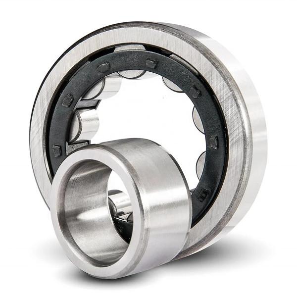 NJ NU 312 ECJ ECM ECP type Cylindrical Full Complement Roller Bearings Single Row