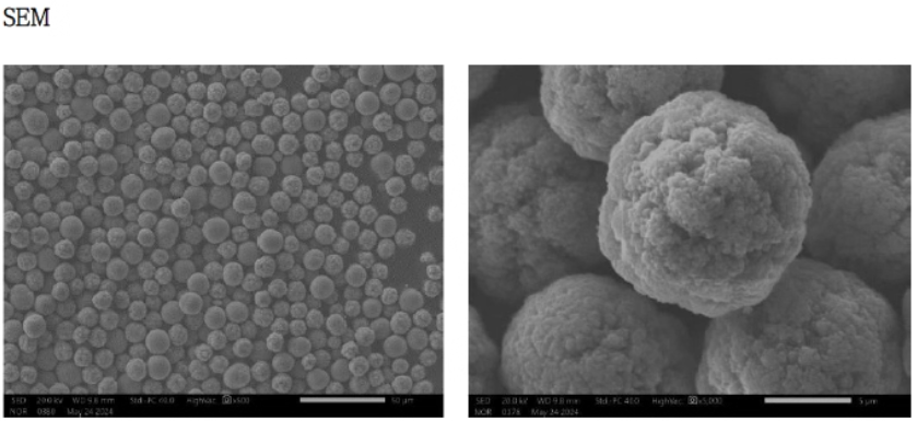 Lithium-Rich Manganese-Based Polycrystalline Cathode Material SF-HV-LRM-1