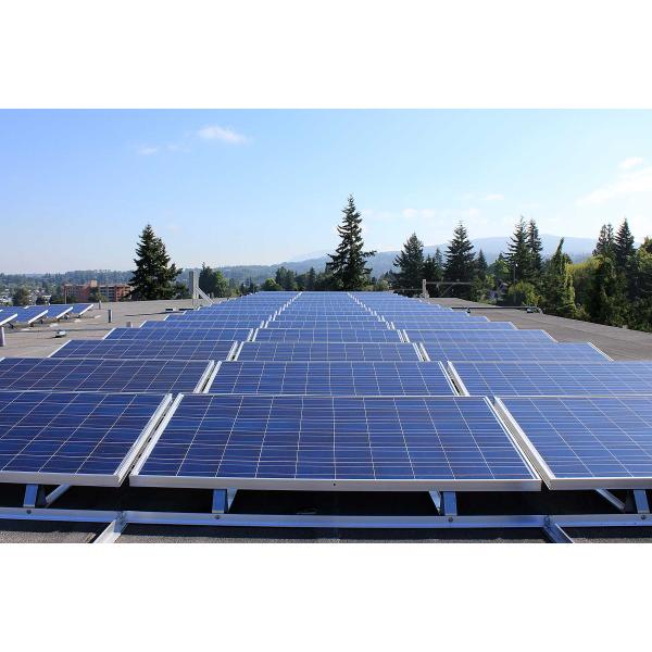 36V 350W High Reliable Photovoltaic Solar Panel Golf Cart Roof For Power Station