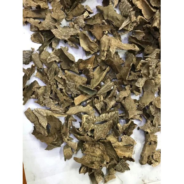 Premium OUD Agarwood Wood Chips Wholesale — Grade A/B/C | Bakhoor | Middle East