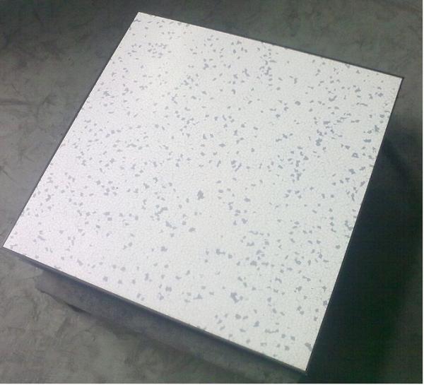 FS800 waterproof dustproof Anti Static Raised Floor 10650 N / m2 Uniform Load