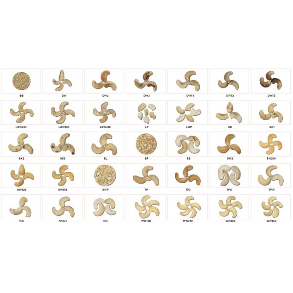 AI RGB Nuts Processing Machine 4 View Crossed Optical Cashew Color Sorter